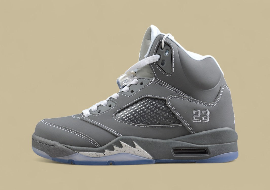Air Jordan 5 Retro Cool Grey & Metallic Silver