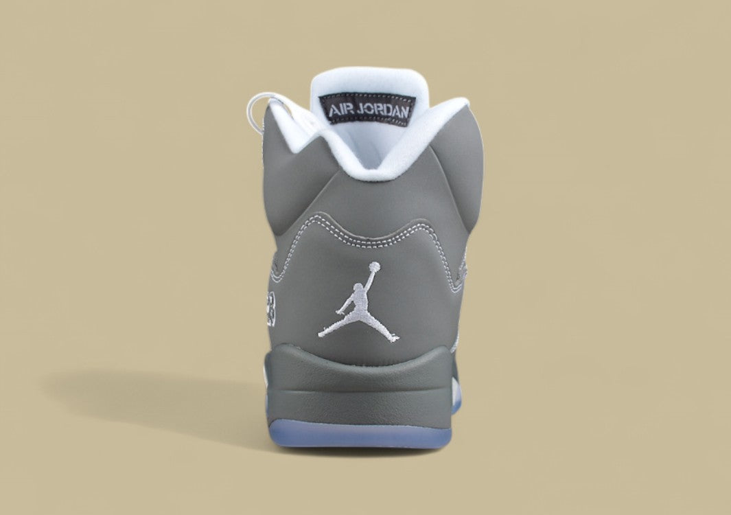 Air Jordan 5 Retro Cool Grey & Metallic Silver