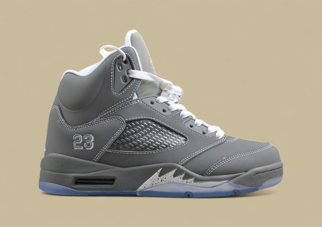 Air Jordan 5 Retro Cool Grey & Metallic Silver