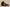 Air Jordan 5 Retro Pure Burgundy Wine Red