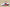 Air Jordan 5 Retro White and Fire Red
