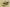 Air Jordan 5 Spizike Low Tour Yellow & White