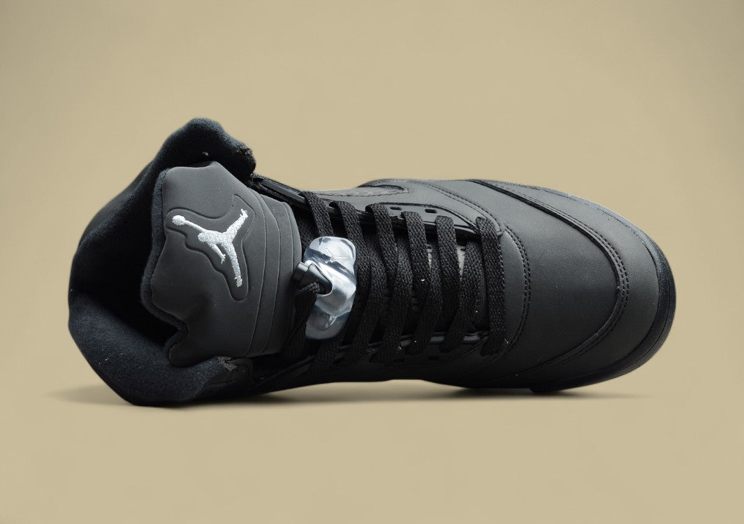 Air Jordan 5 Transparent Black Silver