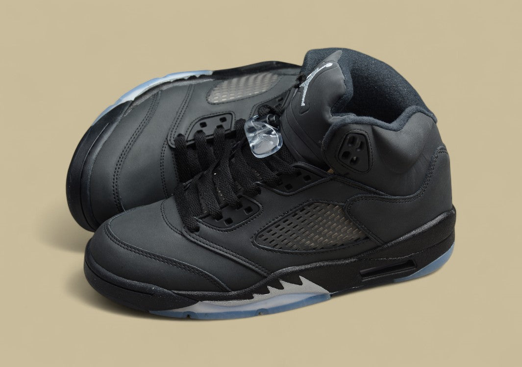 Air Jordan 5 Transparent Black Silver