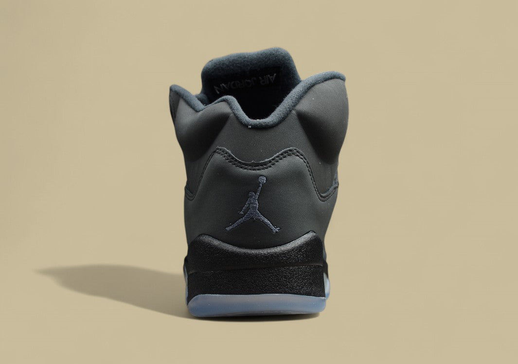Air Jordan 5 Transparent Black Silver
