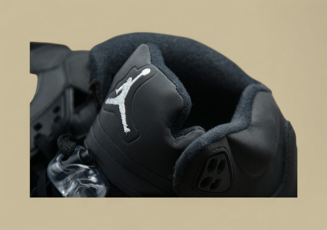 Air Jordan 5 Transparent Black Silver