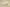 Air Jordan AJ11 Low SE "Yellow Snakeskin"