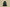 Balenciaga Black Green Sneaker