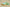 Basketball Shoes Kobe 8 System Green Glow/Laser Orange-Mineral Teal
