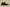Budget Friendly Yeezy 350 V2 All Black for Men and Women