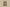 Burberry 24SS Classic Big Check Knit Shorts – Archive Beige
