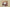 Burberry 24SS Classic Big Check Knit Shorts – Archive Beige