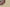 Burberry 24SS Classic Big Check Knit Shorts – Archive Beige