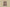 Burberry 24SS Classic Big Check Knit Shorts – Archive Beige