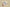 Burberry 24SS Classic Big Check Knit Shorts – Archive Beige