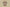 Burberry 24SS Plaid Knit T-Shirt – Archive Beige Check