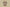 Burberry 24SS Plaid Knit T-Shirt – Archive Beige Check