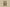Burberry 24SS Vintage Check Knit Shorts – Archive Beige