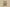 Burberry 24SS Vintage Check Knit Shorts – Archive Beige