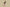 Burberry Classic Big Check Swim Shorts – Archive Beige Multicolor