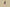 Burberry Classic Big Check Swim Shorts – Archive Beige Multicolor