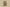 Burberry Classic Side Joint Vintage Check Shorts – Camel