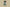 Burberry Stripe Plaid Beach Shorts – Green Check Pattern