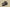 Coconut 350 Affordable Yeezy-Style Comfort