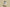 Cost Effective Yeezy 350 FQ9010 Men’s and Women’s Shoes