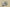 Cost Effective Yeezy 350 FQ9010 Men’s and Women’s Shoes