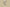 Dior 1947 Embroidery Logo Tatting Shorts – Beige & White