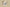 Dior 1947 Embroidery Logo Tatting Shorts – Beige & White