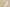 Dior 1947 Embroidery Logo Tatting Shorts – Beige & White