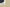 Dior 1947 Embroidery Logo Tatting Shorts – Navy & White