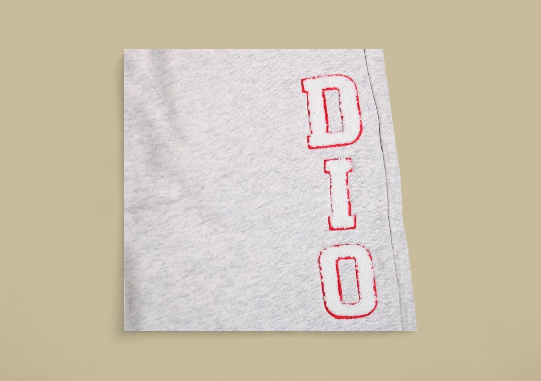 Dior 23SS Vertical Towel Embroidery Logo Sweatpants – Grey/Pink