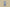 Dior 24SS Full Logo Silk Shorts – Blue Monogram