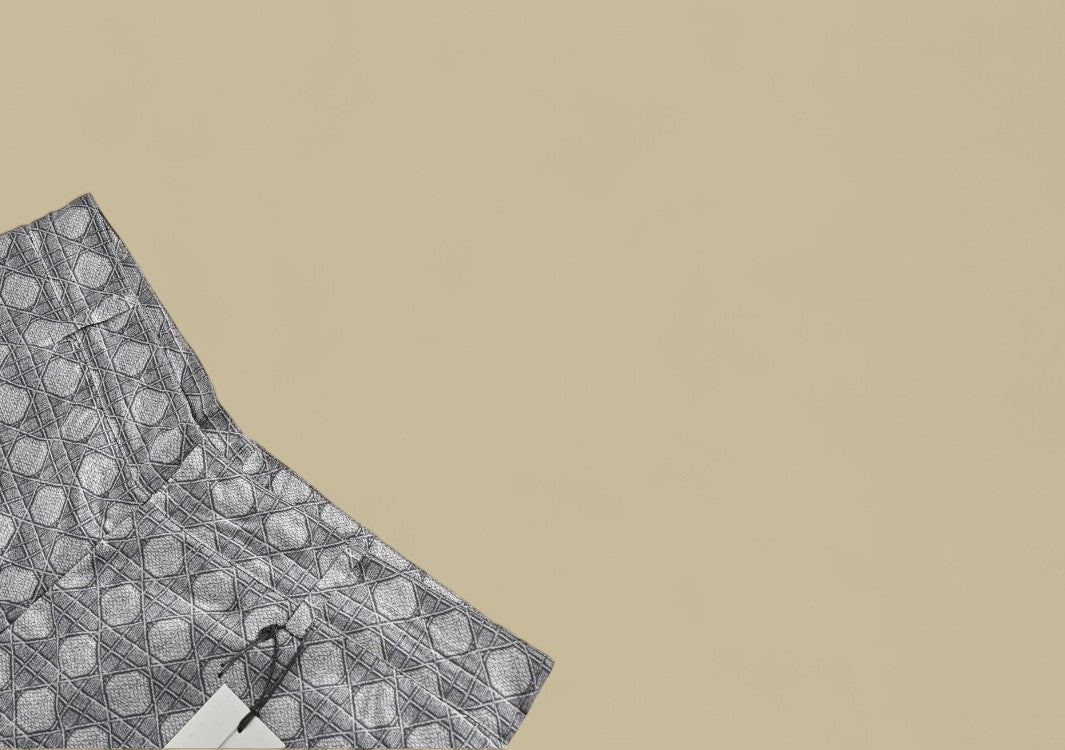 Dior 24SS Full Logo Silk Shorts – Grey Monogram