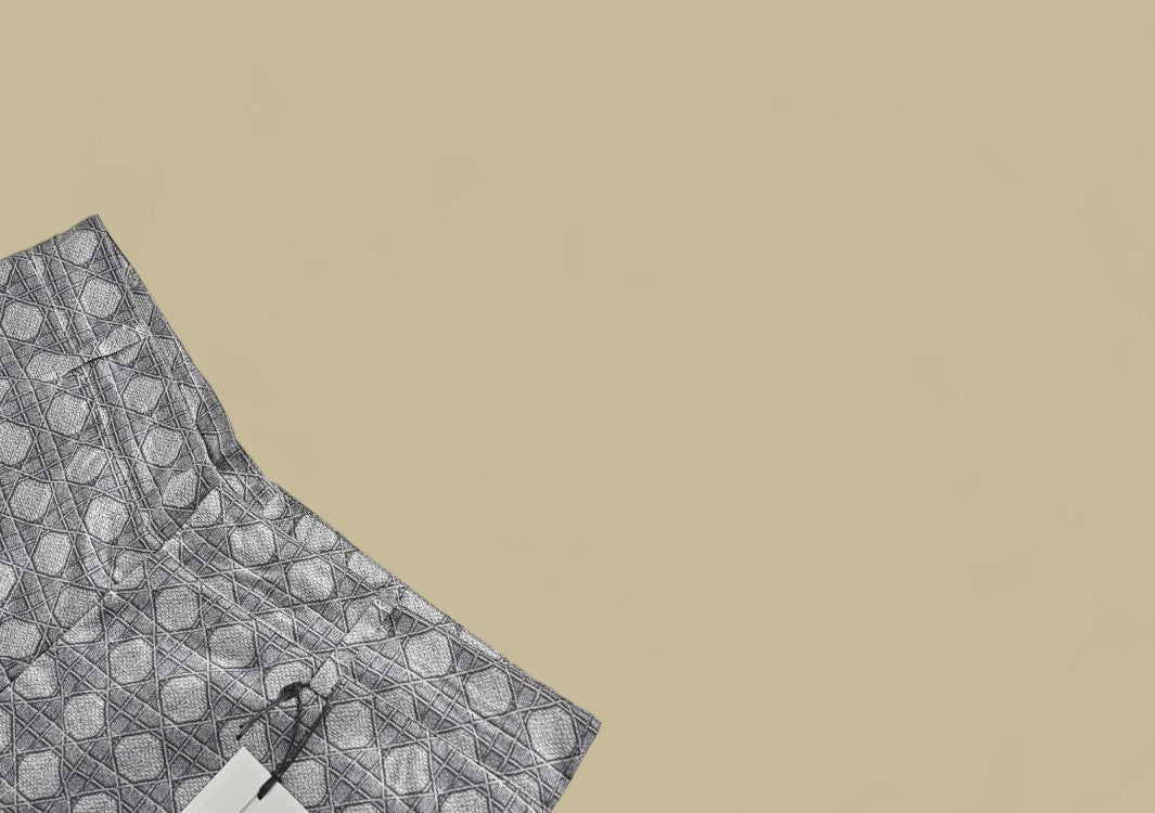 Dior 24SS Full Logo Silk Shorts – Grey Monogram