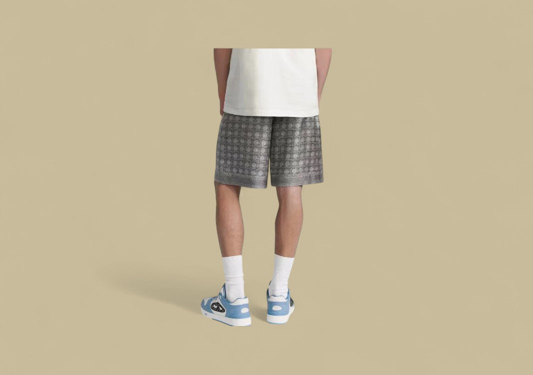Dior 24SS Full Logo Silk Shorts – Grey Monogram