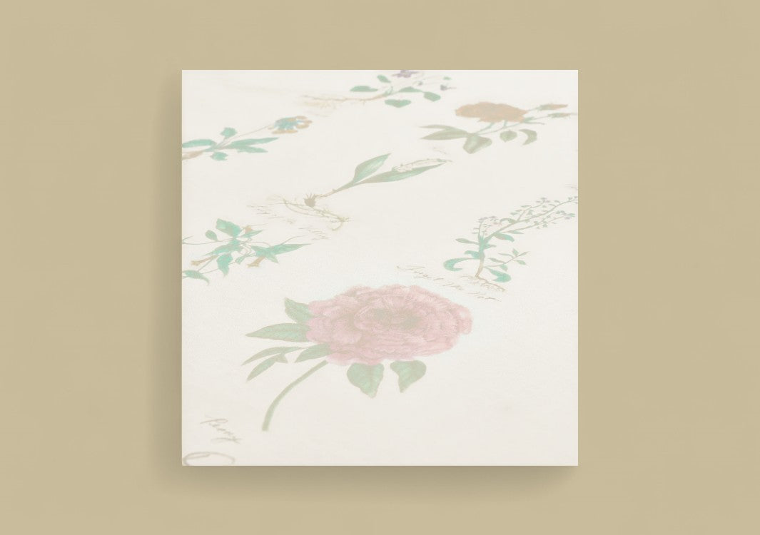 Dior Botanical Specimen Graphic T-Shirt – CD Floral Illustration