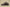 Gold Label Black Buckle Ad Originals Yeezy 500 Clay Brown Replica