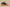 Gold Label Black Buckle Ad Originals Yeezy 500 Enflam Hungry Blue Orange Replica