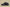 Gold Label Black Buckle Ad Originals Yeezy 500 Soft Vision Black Warrior Coconut Replica