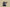 Gold Label Black Buckle Ad Originals Yeezy 500 Soft Vision Black Warrior Coconut Replica
