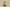 Gold Label Black Buckle Ad Originals Yeezy 500 Soft Vision Brown Coconut Replica