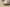 Gold Label Black Buckle Ad Originals Yeezy 500 Soft Vision Brown Coconut Replica