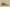Gold Label Black Buckle Ad Originals Yeezy 500 Soft Vision Brown Coconut Replica