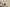 Gold Label Black Buckle Ad Originals Yeezy 500 Soft Vision Brown Coconut Replica
