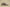 Gold Label Black Buckle Ad Originals Yeezy 500 Soft Vision Brown Coconut Replica