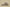 Gold Label Black Buckle Ad Originals Yeezy 500 Soft Vision Brown Coconut Replica